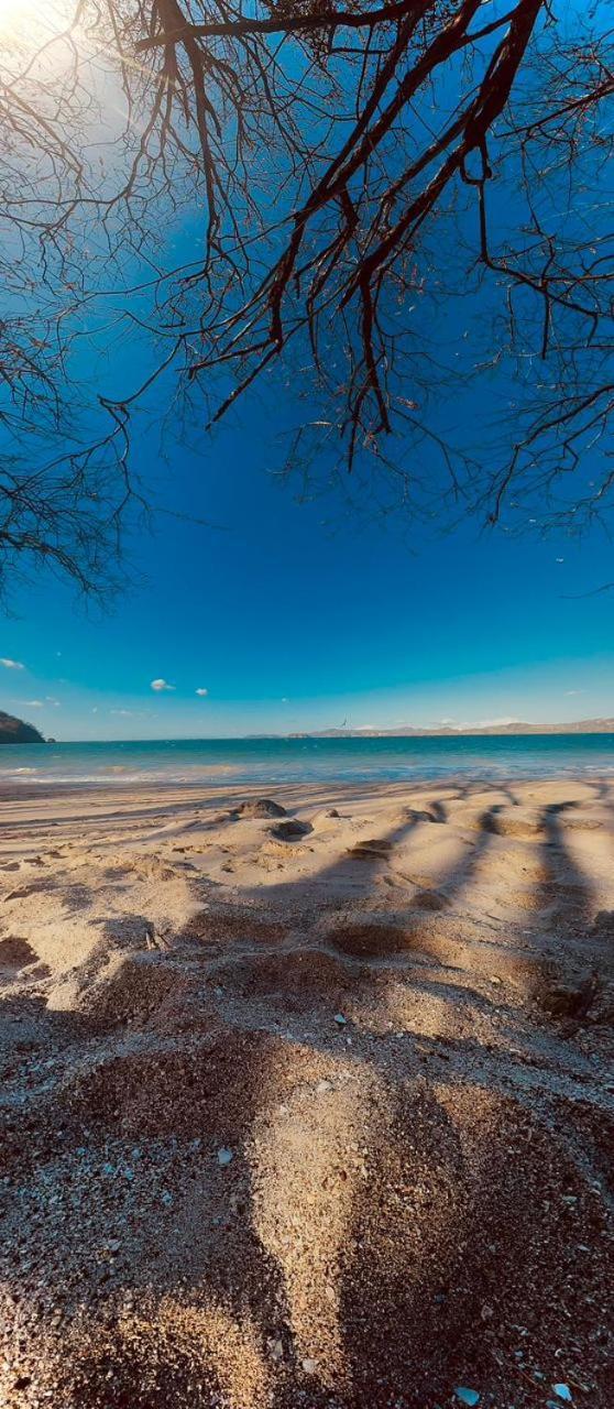 Tamarindo Beach, Prime Location, Fantastic Watersalt Pool & Cold Plunge, Family & Friends Exterior photo